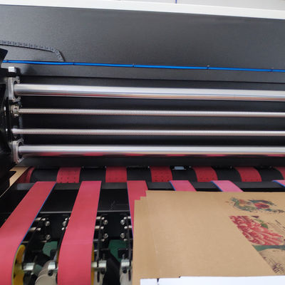 골판지 박스 카톤 박스를 위한 잉크젯 높은 속도 디지털 프린터